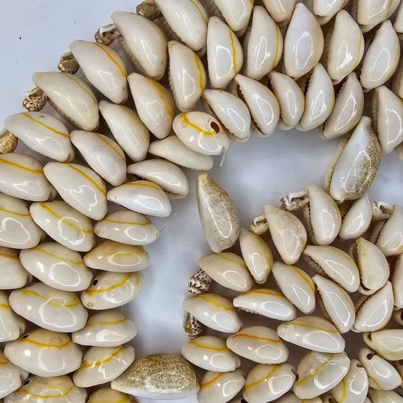 Natural Sea Shell Trivet Hot Pad Doily Nautical Wall Decor Beach House 9” - Picture 4 of 7